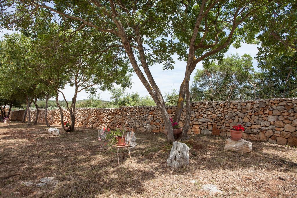 House Soni - 800 M From The Sea Βίλα Ρόβινι Εξωτερικό φωτογραφία